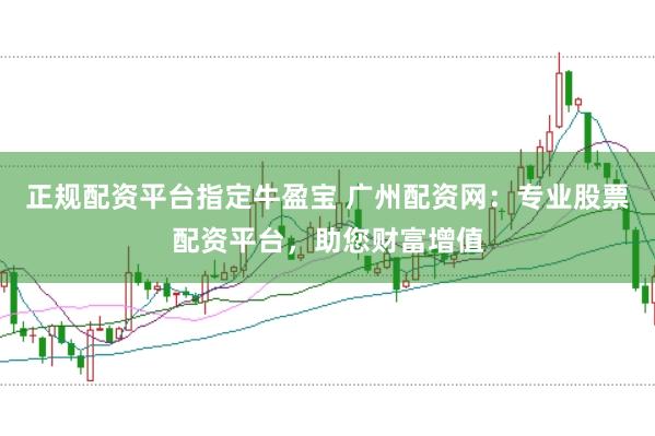正规配资平台指定牛盈宝 广州配资网：专业股票配资平台，助您财富增值