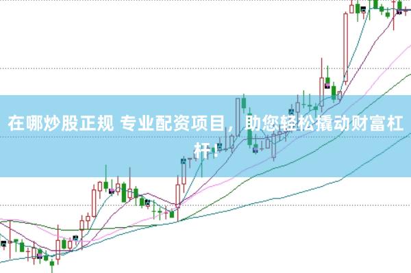在哪炒股正规 专业配资项目，助您轻松撬动财富杠杆！