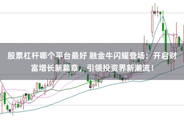 股票杠杆哪个平台最好 融金牛闪耀登场：开启财富增长新篇章，引领投资界新潮流！