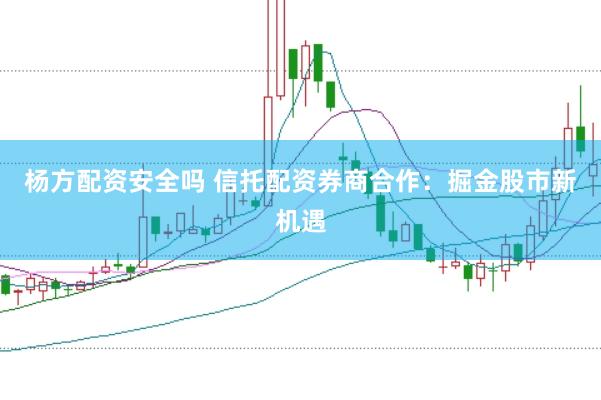 杨方配资安全吗 信托配资券商合作：掘金股市新机遇