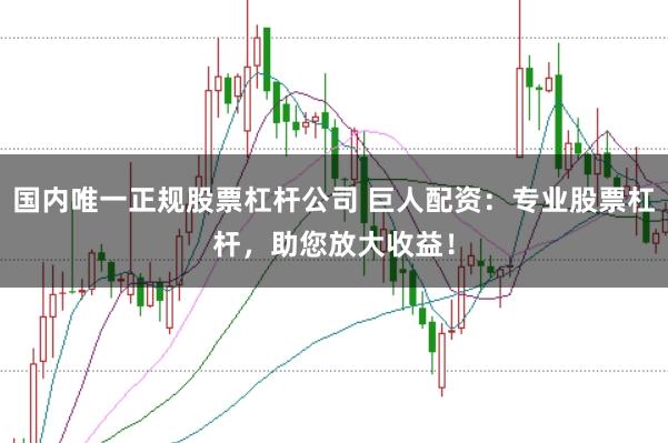 国内唯一正规股票杠杆公司 巨人配资：专业股票杠杆，助您放大收益！